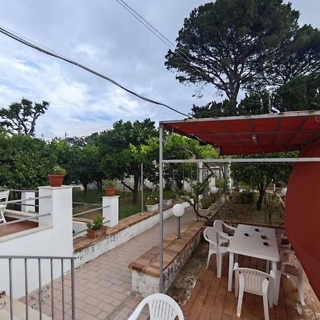 Casa Ferraro Hotel Marina Grande  Екстериор снимка